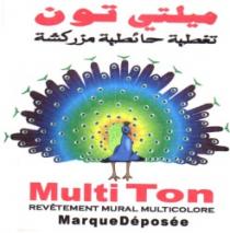 MULTI TON