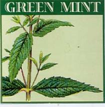 GREEN MINT