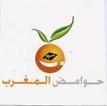 HAWAMED AL MAGHREB