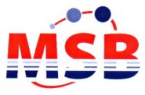 MSB