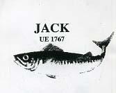 JACK UE 1767