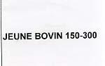 JEUNE BOVIN 150-300