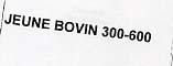 JEUNE BOVIN 300-600