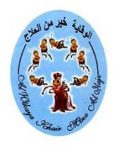 AL WIKAYA KHAIR MINA AL ILAJE