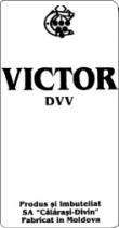 C DIVIN VICTOR DVV