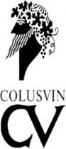 COLUSVIN CV