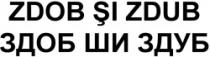 ZDOB ŞI ZDUB