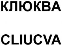KLIUKVA CLIUCVA