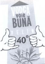 VODCĂ VOIE BUNĂ PELIN