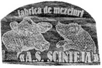 FABRICA DE MEZELURI A.S. SCÎNTEIA