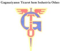 GAGAUZIYANIN TICARET HEM INDUSTRIA ODASI GTIO