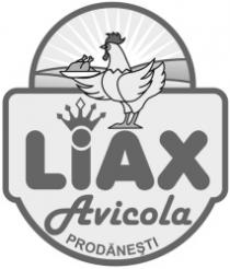 LIAX AVICOLA PRODĂNEŞTI