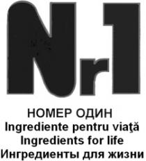 NR 1 NOMER ODIN INGREDIENTE PENTRU VIAŢĂ INGREDIENTS FOR LIFE INGREDIENTÎ DLEA JIZNI