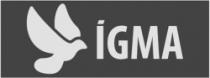 IGMA