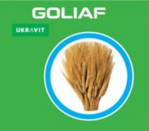 GOLIAF UKRAVIT