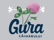 GURA CĂINARULUI