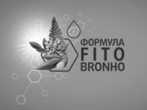 FORMULA FITO BRONHO