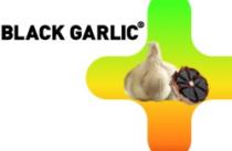 BLACK GARLIC Ž