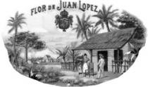 FLOR DE JUAN LOPEZ