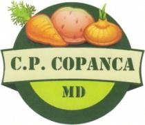 C.P. COPANCA MD