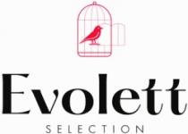 Evolett SELECTION