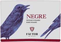 NEGRE FETEASCĂ NEAGRĂ RARĂ NEAGRĂ FF FAUTOR WINERY