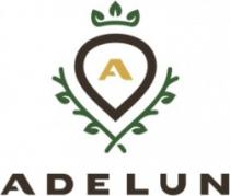 A ADELUN