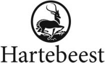 Hartebeest