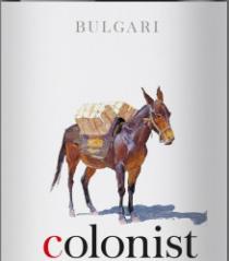 BULGARI colonist