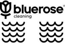bluerose Ž cleaning