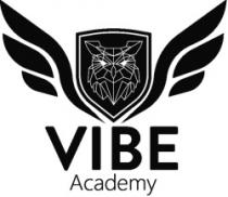 VIBE Academy