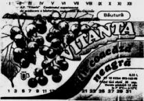 VITANTA băutură din coacăză neagră