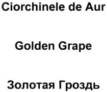 Ciorchinele de Aur GOLDEN GRAPE ZOLOTAIA GROZDI