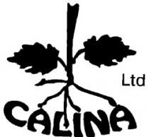 CALINA Ltd