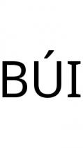 BÚI