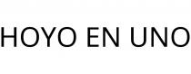HOYO EN UNO