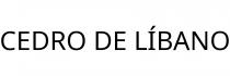 CEDRO DE LÍBANO