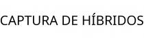 CAPTURA DE HÍBRIDOS