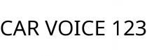 CAR VOICE 123