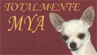 TOTALMENTE MYA