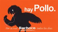 HAY POLLO POR ACTUAL BACHOCO TODOS LOS DÍAS.