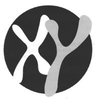 XY