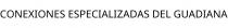 CONEXIONES ESPECIALIZADAS DEL GUADIANA
