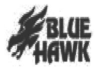 BLUE HAWK