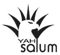 YAH SALUM