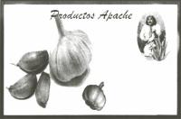PRODUCTOS APACHE
