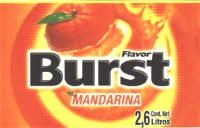 FLAVOR BURST