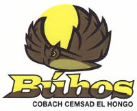 BÚHOS COBACH CEMSAD EL HONGO