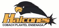 HALCONES COBACH PLANTEL ENSENADA
