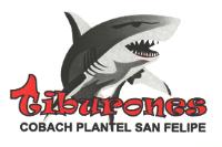 TIBURONES COBACH PLANTEL SAN FELIPE